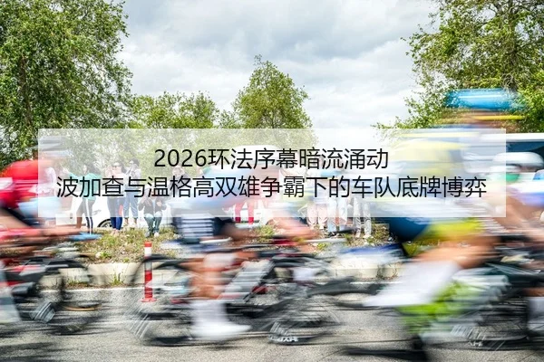 huan-fa-xu-mu-an-liu-yong-dong-bo-jia-cha-yu-wen-ge-gao-shuang-xiong-zheng-ba-xia-de-che-dui-di-pai-bo-yi-2-298.jpg